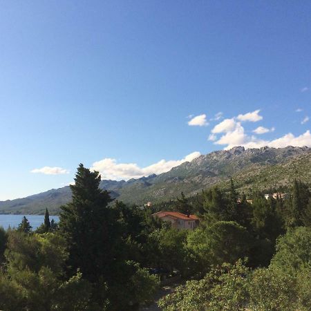 Apartments Villa Jusup Starigrad Paklenica Exterior photo